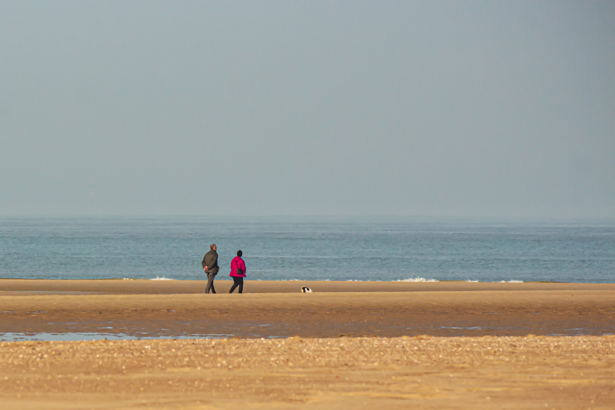 69-2304-seabreeze (1 van 1).jpg